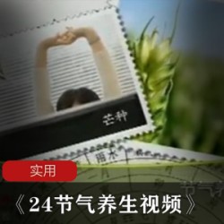 实用的养身视频《24节气养生视频》