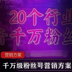 实用的营销方案《抖音各行业千万级粉丝大号营销方案》