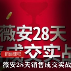 实用的销售课程《薇安28天销售成交实战营》教程